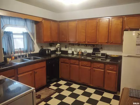 410 E Broadway St, Ipava, IL 61441 photo 14