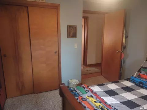 410 E Broadway St, Ipava, IL 61441 photo 7
