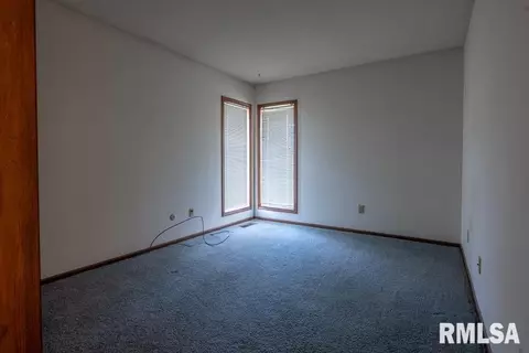 4327 S Banbury Cv, Mapleton, IL 61547 photo 28