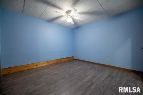4327 S Banbury Cv, Mapleton, IL 61547 photo 38