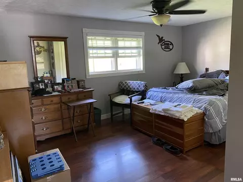 15780 E Cheyenne Dr, Cuba, IL 61427 photo 38