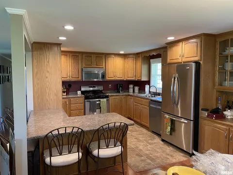 15780 E Cheyenne Dr, Cuba, IL 61427 photo 19