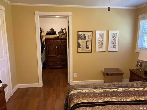 15780 E Cheyenne Dr, Cuba, IL 61427 photo 37