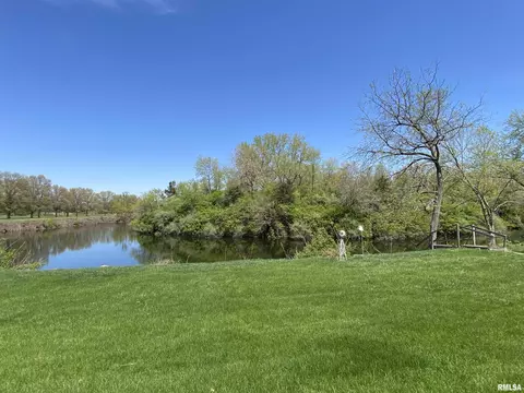 15780 E Cheyenne Dr, Cuba, IL 61427 photo 7