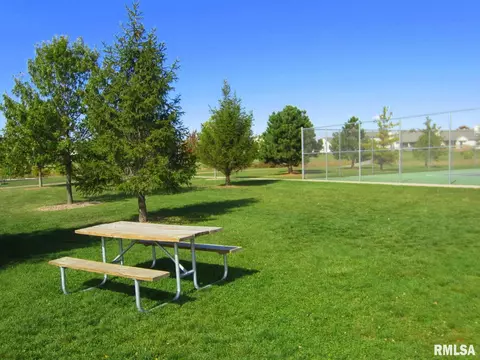 11102 N Crestpointe Ln, Dunlap, IL 61525 photo 12