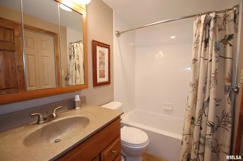 228 S Castle Dr, Dunlap, IL 61525 photo 29