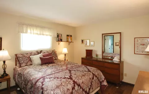 228 S Castle Dr, Dunlap, IL 61525 photo 24