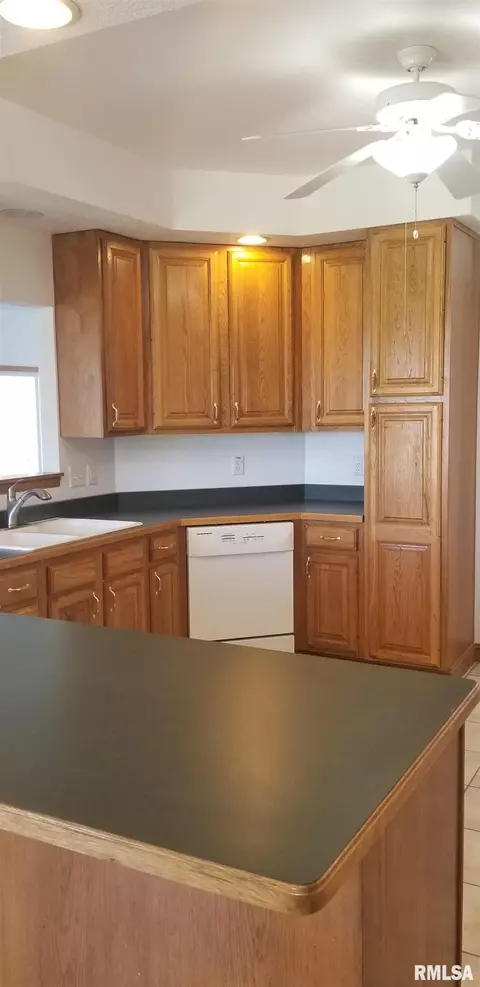 3731 W Eagle Dr, Dunlap, IL 61525 photo 11