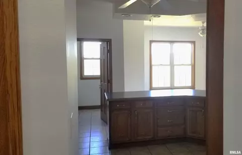 3731 W Eagle Dr, Dunlap, IL 61525 photo 12