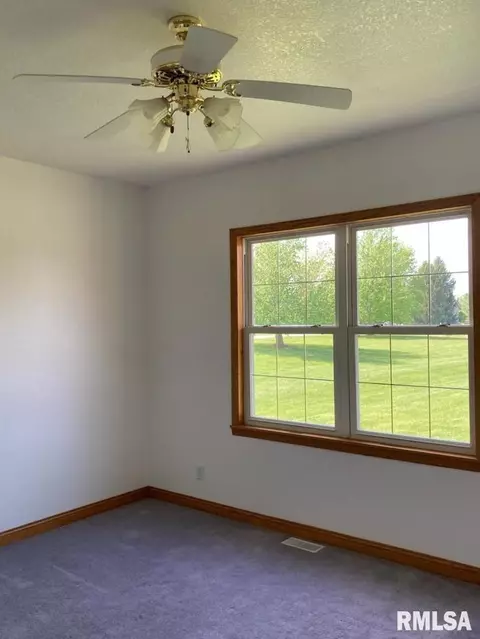 3731 W Eagle Dr, Dunlap, IL 61525 photo 18