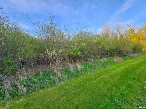 Lot 317 E Apache Court, Cuba, IL 61427