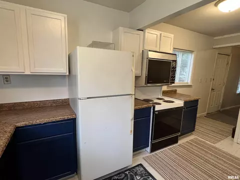 231 Chandler Blvd, Macomb, IL 61455 photo 12
