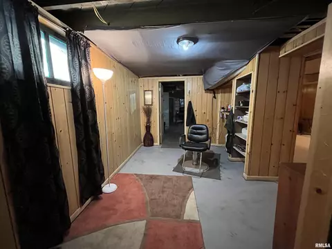 519 E Thrush Ave, Peoria, IL 61603 photo 8