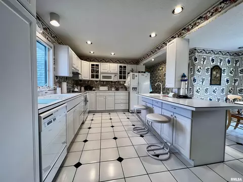 18 Bricker Cir, Avon, IL 61415 photo 12