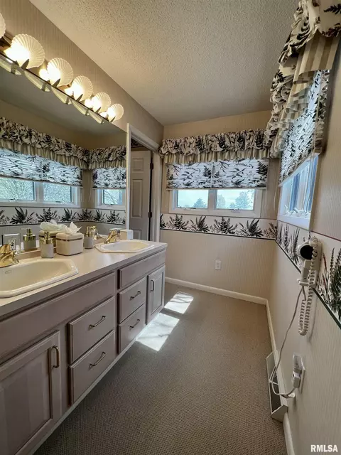 18 Bricker Cir, Avon, IL 61415 photo 20