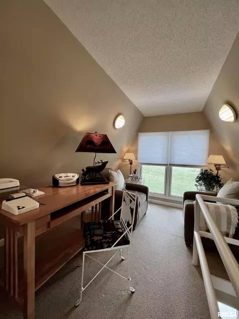 18 Bricker Cir, Avon, IL 61415 photo 22