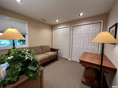18 Bricker Cir, Avon, IL 61415 photo 37