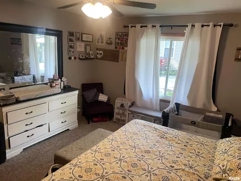 407 Main St, Eureka, IL 61530 photo 4