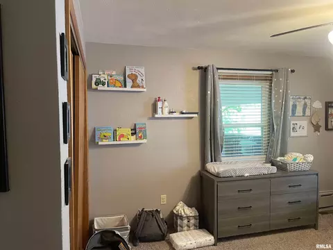 407 Main St, Eureka, IL 61530 photo 12