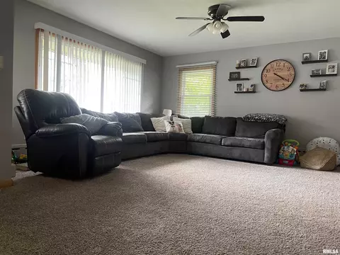407 Main St, Eureka, IL 61530 photo 23