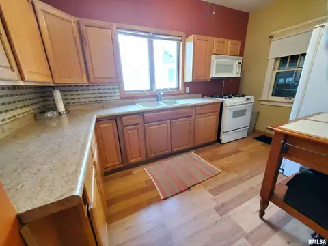 207 S Major St, Eureka, IL 61530 photo 9