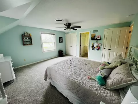 10 Lake Michael, Macomb, IL 61455 photo 28