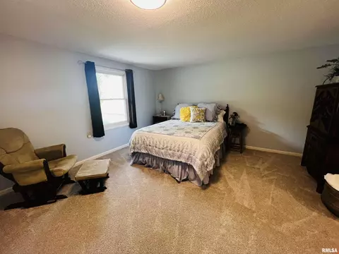 10 Lake Michael, Macomb, IL 61455 photo 43
