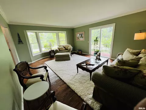 10 Lake Michael, Macomb, IL 61455 photo 6