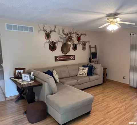 524 W Piper St, Macomb, IL 61455 photo 3