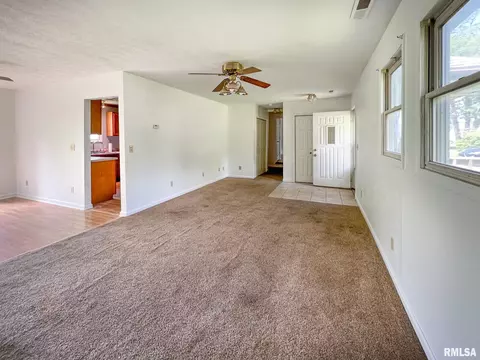 808 W 3rd St, Delavan, IL 61734 photo 3