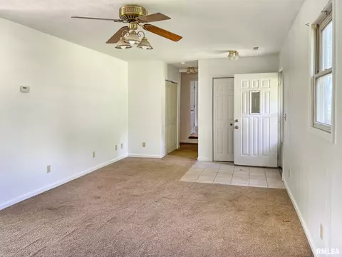 808 W 3rd St, Delavan, IL 61734 photo 6