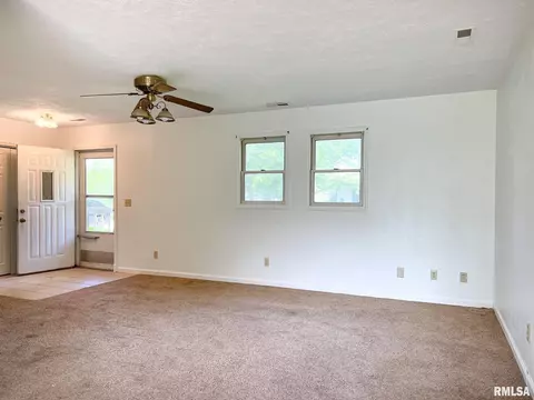 808 W 3rd St, Delavan, IL 61734 photo 5