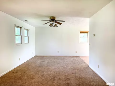 808 W 3rd St, Delavan, IL 61734 photo 11