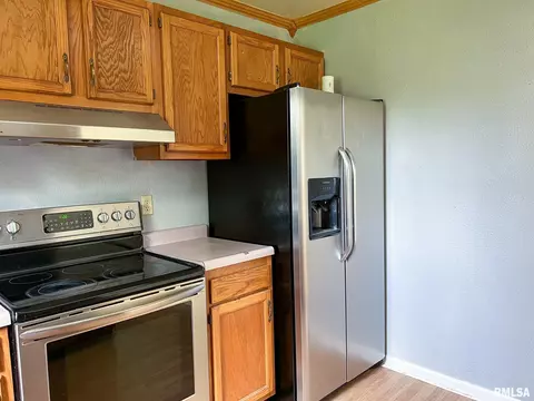 808 W 3rd St, Delavan, IL 61734 photo 10