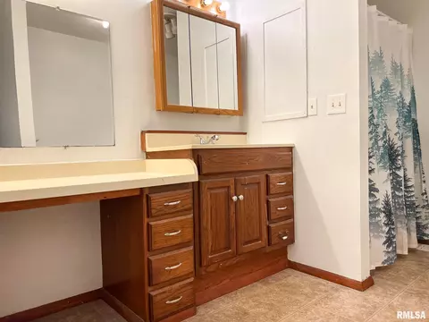 808 W 3rd St, Delavan, IL 61734 photo 14