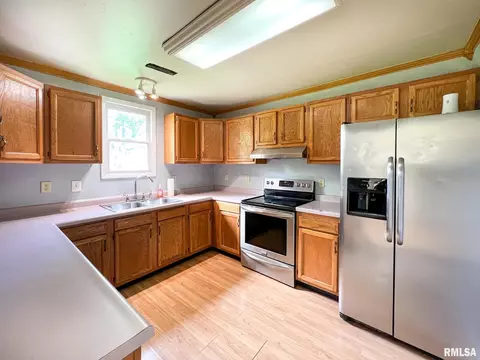 808 W 3rd St, Delavan, IL 61734 photo 7
