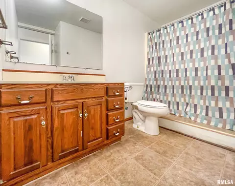 808 W 3rd St, Delavan, IL 61734 photo 20
