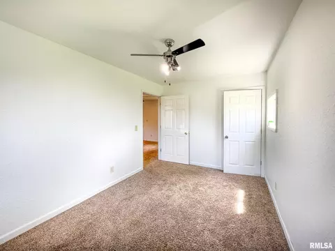 808 W 3rd St, Delavan, IL 61734 photo 19