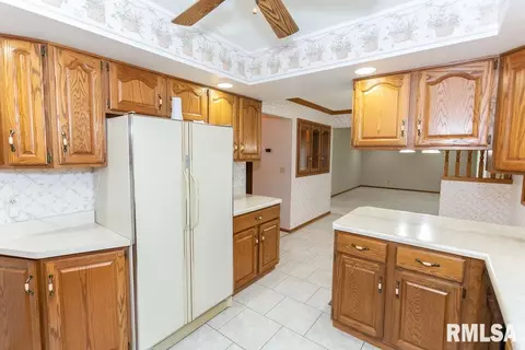 314 E Peoria St, Goodfield, IL 61742 photo 19