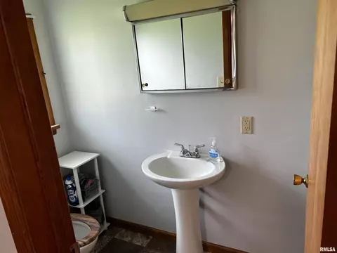 190 Railroad St, Smithfield, IL 61477 photo 19