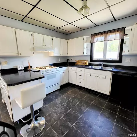 312 W Pine St, Canton, IL 61520 photo 30