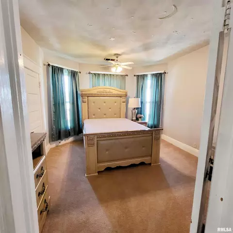 312 W Pine St, Canton, IL 61520 photo 41