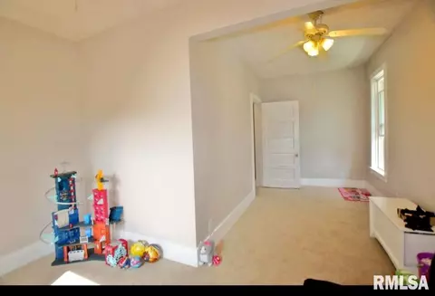 312 W Pine St, Canton, IL 61520 photo 51