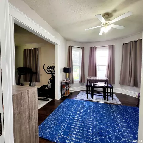 312 W Pine St, Canton, IL 61520 photo 14