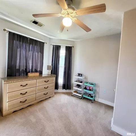 312 W Pine St, Canton, IL 61520 photo 45