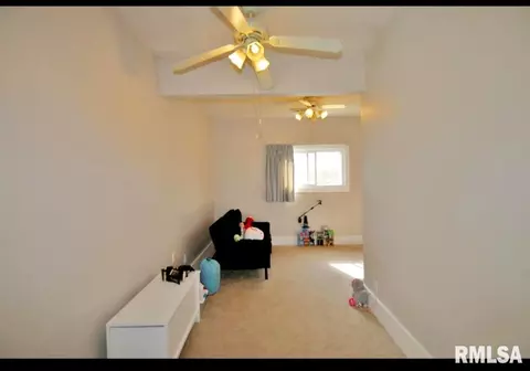 312 W Pine St, Canton, IL 61520 photo 50