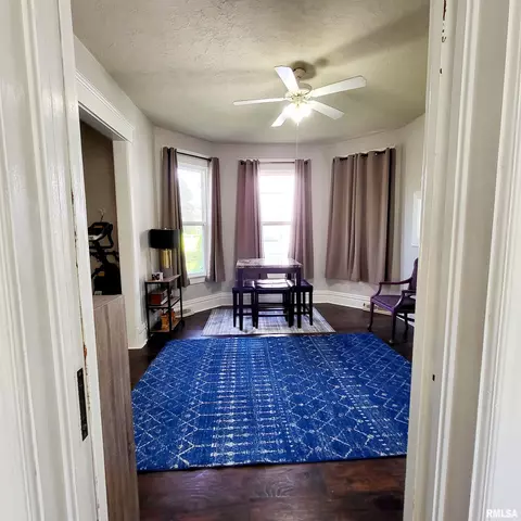 312 W Pine St, Canton, IL 61520 photo 15
