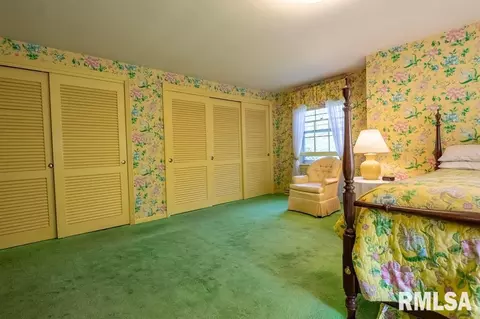 75 Hemlock Ter, Canton, IL 61520 photo 51