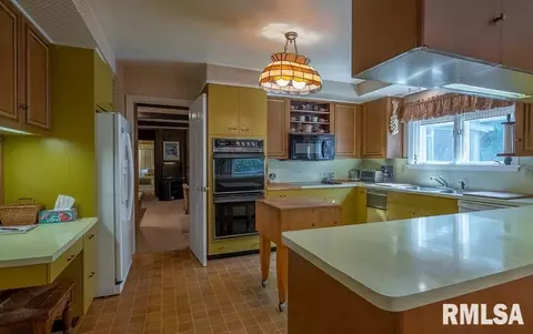 75 Hemlock Ter, Canton, IL 61520 photo 40