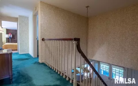 75 Hemlock Ter, Canton, IL 61520 photo 47